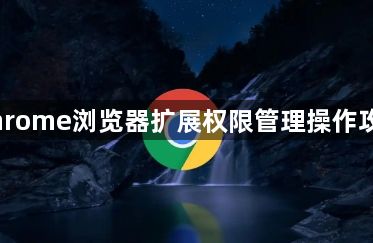 Chrome浏览器扩展权限管理操作攻略1