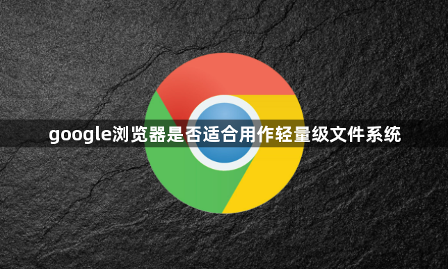google浏览器是否适合用作轻量级文件系统1