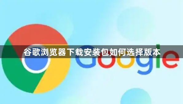 谷歌浏览器下载安装包如何选择版本1
