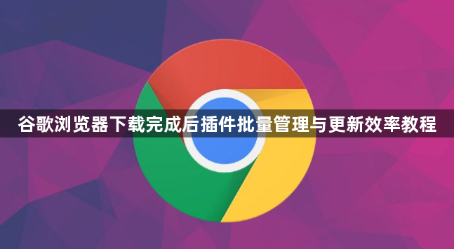 谷歌浏览器下载完成后插件批量管理与更新效率教程1