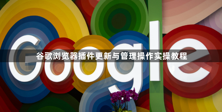 谷歌浏览器插件更新与管理操作实操教程1