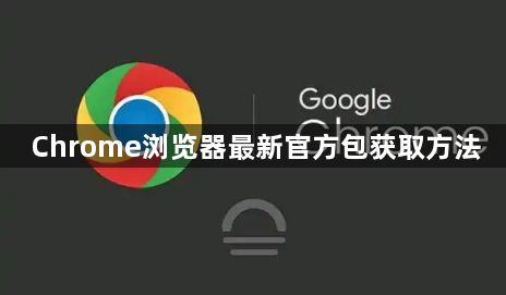 Chrome浏览器最新官方包获取方法1