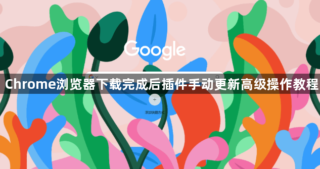 Chrome浏览器下载完成后插件手动更新高级操作教程1