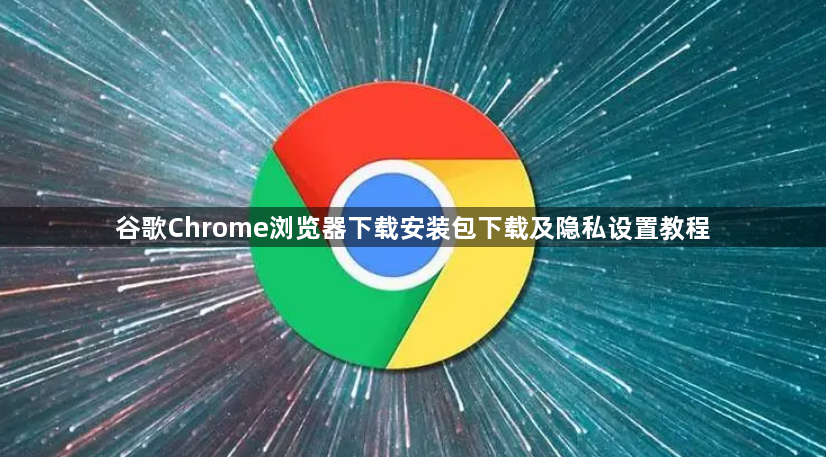 谷歌Chrome浏览器下载安装包下载及隐私设置教程1