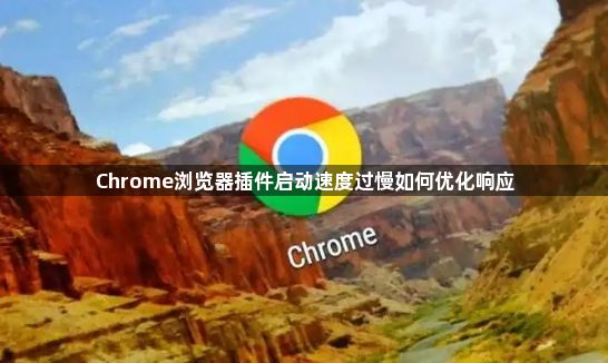 Chrome浏览器插件启动速度过慢如何优化响应1