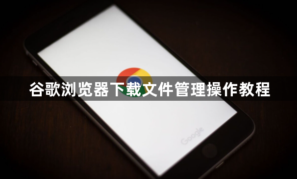 谷歌浏览器下载文件管理操作教程1