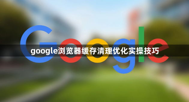 google浏览器缓存清理优化实操技巧1
