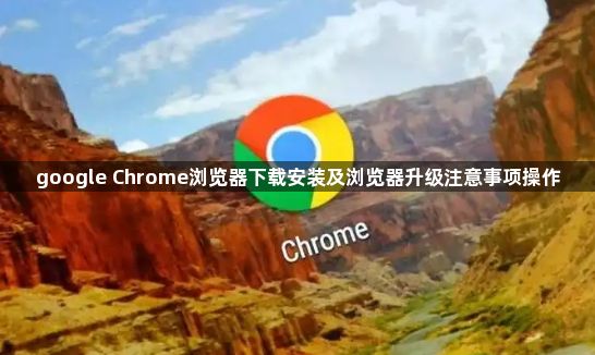 google Chrome浏览器下载安装及浏览器升级注意事项操作1