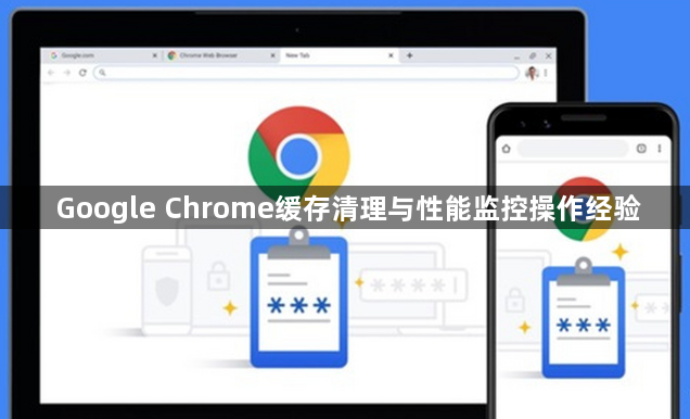 Google Chrome缓存清理与性能监控操作经验1
