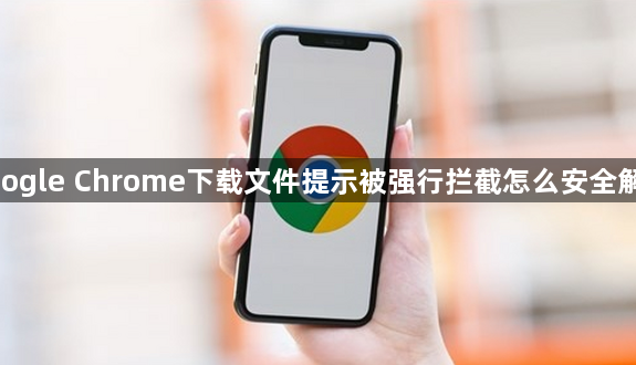 google Chrome下载文件提示被强行拦截怎么安全解除1