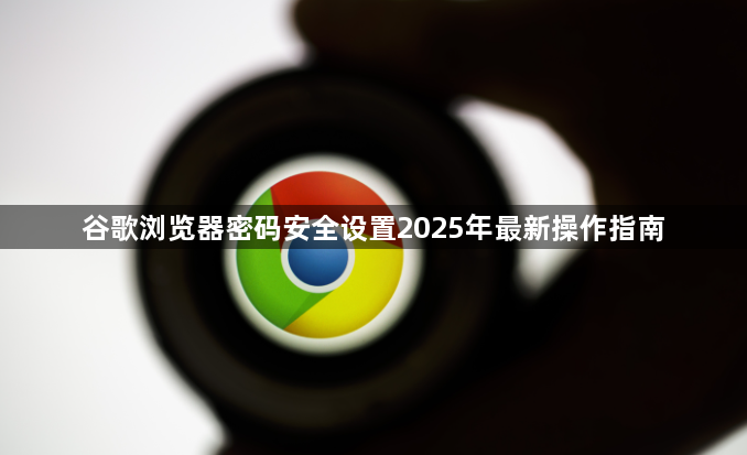 谷歌浏览器密码安全设置2025年最新操作指南1