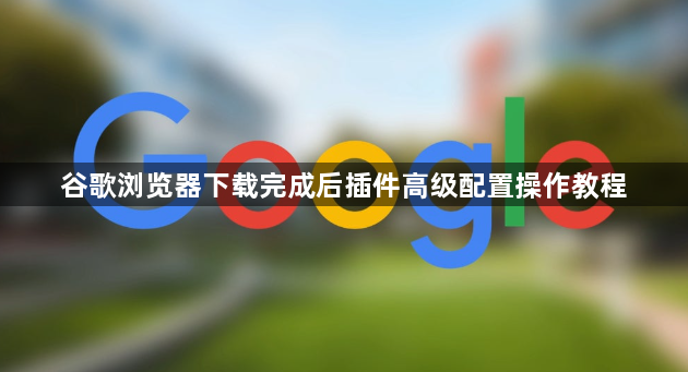 谷歌浏览器下载完成后插件高级配置操作教程1
