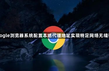 google浏览器系统配置本地代理地址实现特定网络无缝访问1